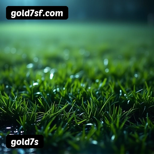 6 vantagens exclusivas do programa VIP da gold7s